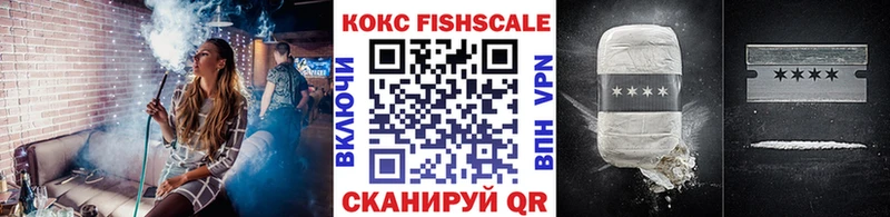 COCAIN Fish Scale  Купить где  Пыть-Ях 
