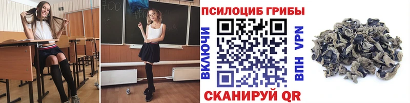 Купить закладки  Пыть-Ях  Псилоцибиновые грибы ЛСД 