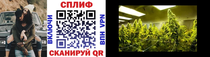 Купить  Пыть-Ях  МАРИХУАНА план 